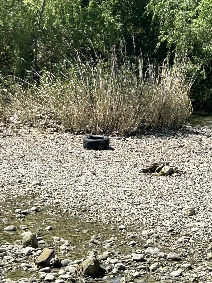 rafaelgalvez6's tweet photo. El río Guadalquivir por Córdoba enfrenta problemas de contaminación. Por si fuera poco después de la crecida por las lluvias es un rio lleno de basura , creo q las autoridades locales deberían remediar esta situación,tenemos especies protegidas que pueden dañar su hábitat. https://t.co/Srna7OvLh7