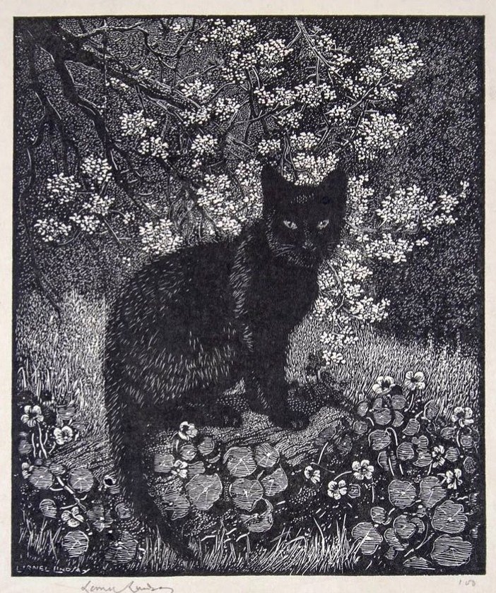 'The Witch' by Lionel Lindsay, 1924

#lionellindsay #catillustration #illustration #witch #cat