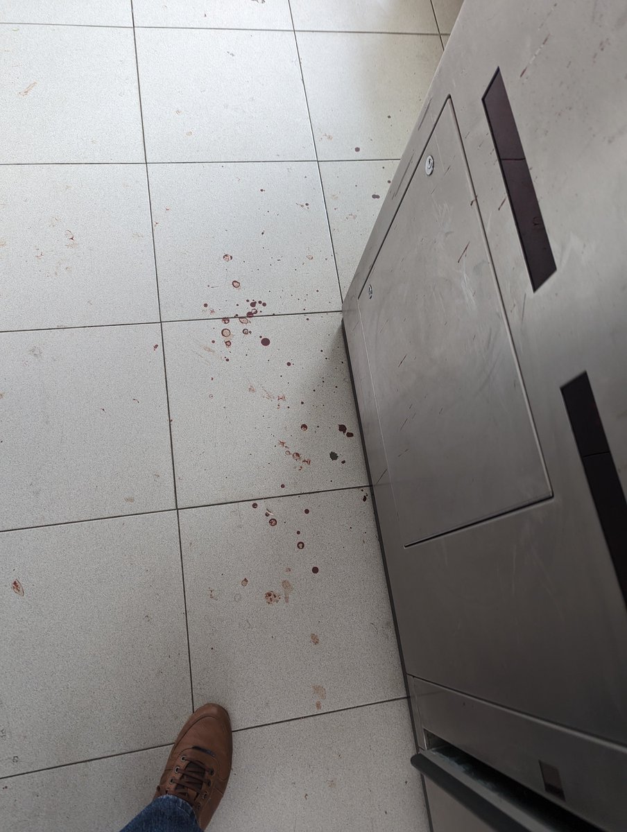 P_tinez's tweet photo. @Renfe El viernes por la tarde os reporté que la estación de Nueva Montaña estaba llena de restos de sangre. Domingo por la tarde, todo sigue igual. Esto y lo que no se ve en las fotos.
Tenéis la estación abandonada, cuando no son restos de sangre, son de heces o similar https://t.co/Y8DuNTcRES