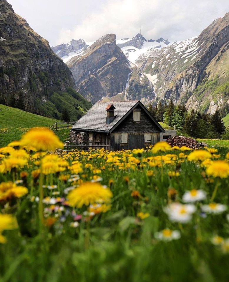 Switzerland 🇨🇭