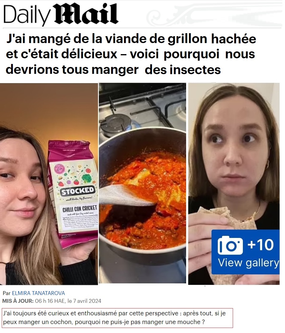 Les médias sont de plus en plus sur le narratif de la nourriture d'insectes. Bientôt il sera mal vu de consommer des animaux. tinyurl.com/bde5d44k ▶️ Après tout, si je peux manger un cochon, pourquoi ne puis-je manger une mouche? 🥴🫣