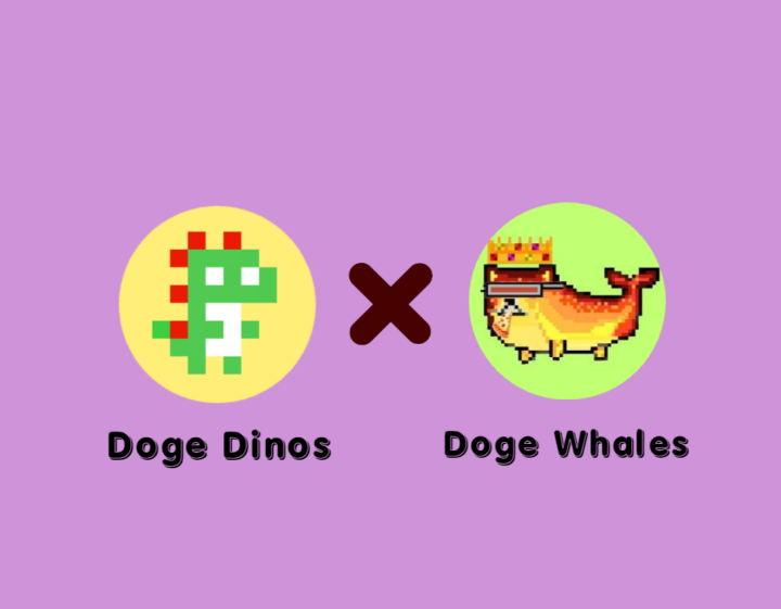 🗣️#Dogewhales x @Doge_Dinos For this great Collaboration 3 Dino #Doginals Giveaway for 3 Winners in 24 Hours To Enter 🟠 Follow @doge_whales & @Doge_Dinos 🟠 Like & RT 🟠 Put your DRC20 and Tag 1 Frnd #DRC20 #Doginals #Ordinals #DWHL #Runes