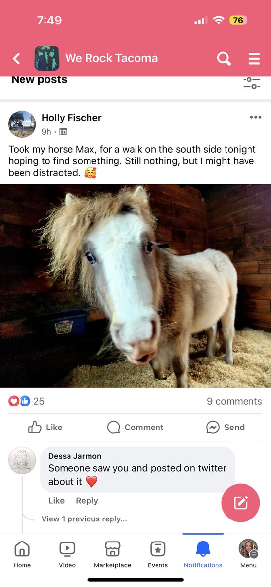 @Lefthanded_Hero Hahaha no video needed! We get to see the horse too!! She posted on we rock Tacoma page .