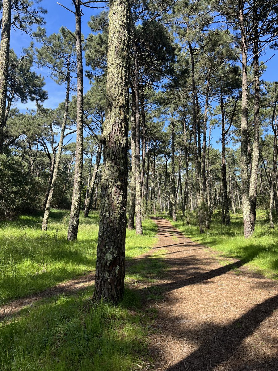 Don't worry, be happy 🥰