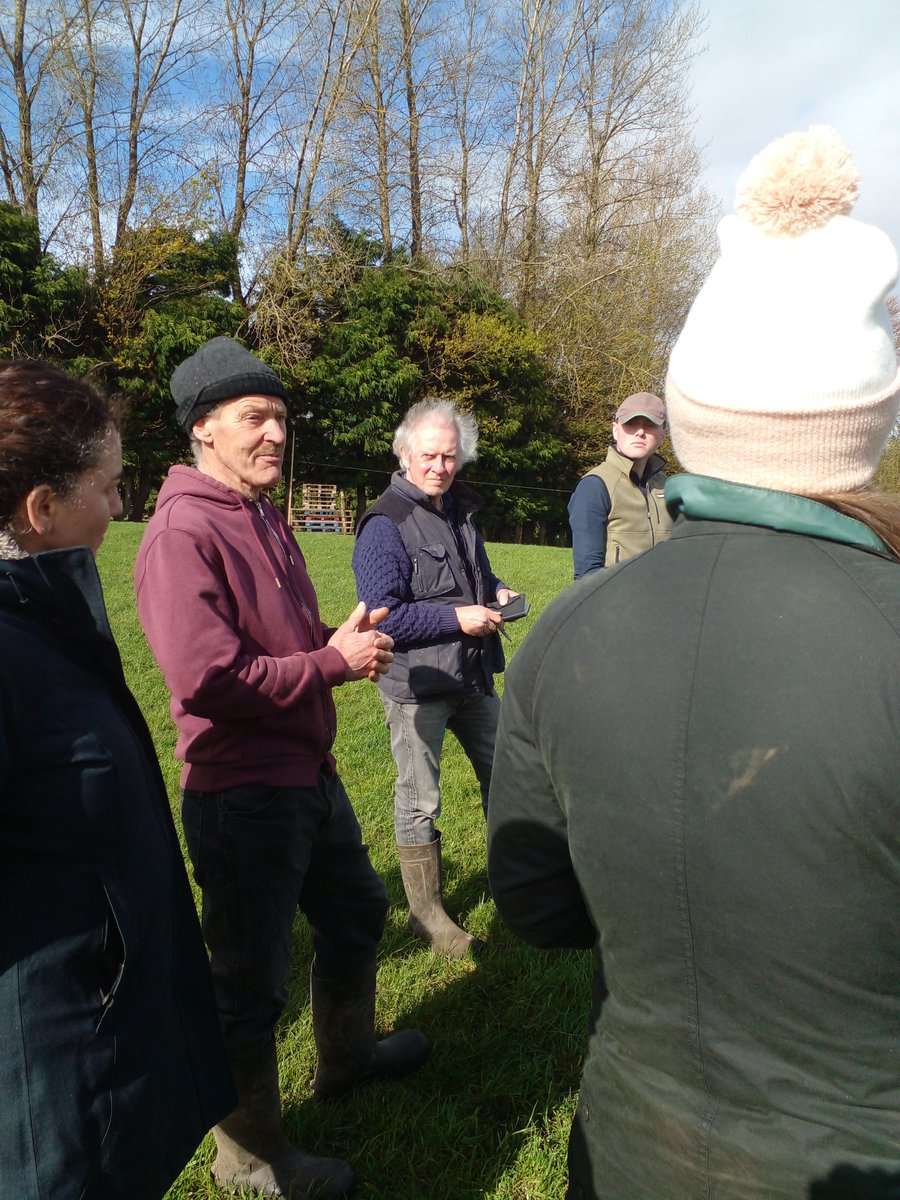 Lovely final visit yesterday to Ben & Charlotte Colcester and their Easycare sheep. Great insights into grassland management, sheep husbandry marketing and developing the organic sector. @agriculture_ie @SETUAgriculture @NatOrgSkill @SETUIreland @Bordbia