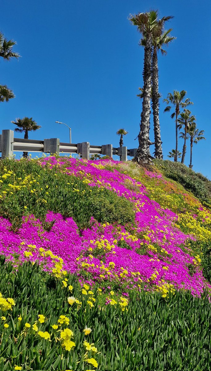 The bright colours of the California coastline are absolutely dazzling at times