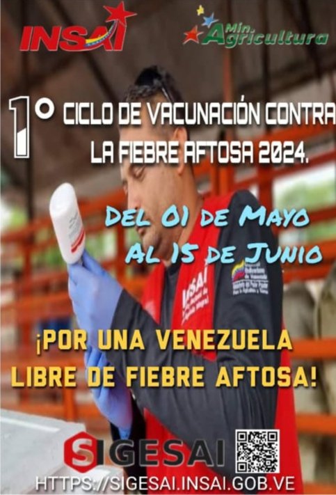 Insai Cojedes (@insaicojedes) on Twitter photo 