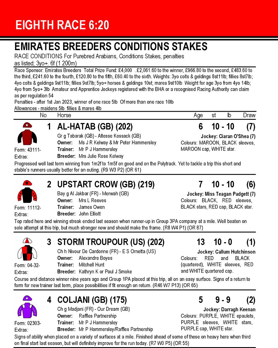 Arabian Racing Organisation tweet media