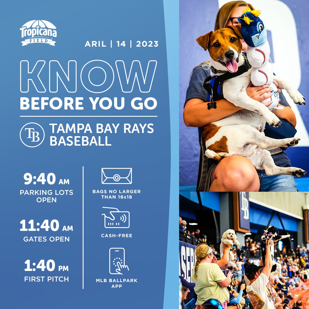 Heading out to the @RaysBaseball game today? Here's everything you need to know before you go.