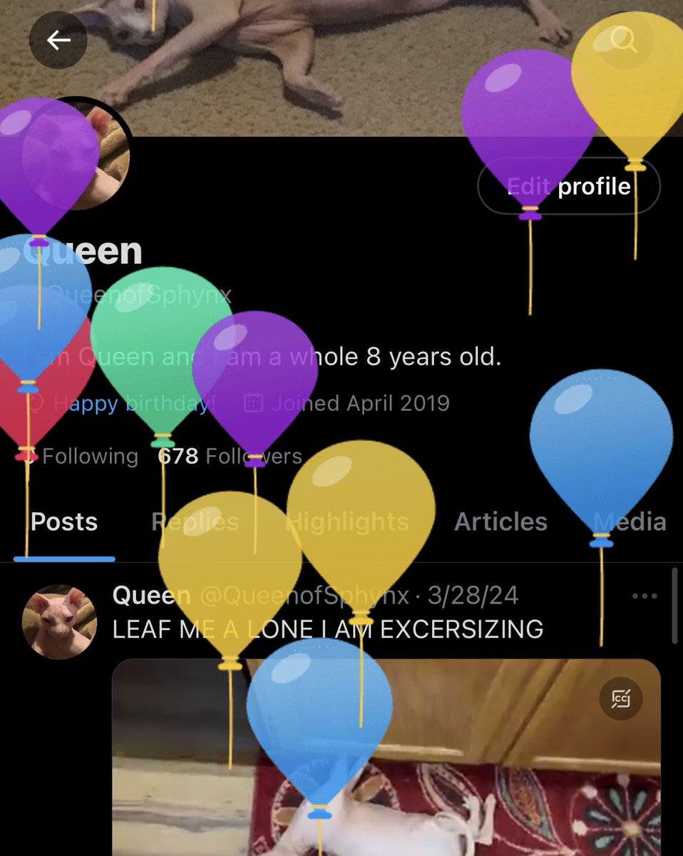 QueenofSphynx's tweet photo. BIRTH DEY https://t.co/9pdrzvdLBv