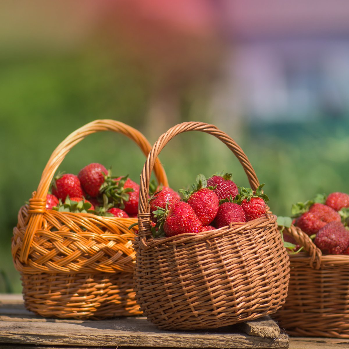 Spring into action and head to Houston's farmers markets to stock up on the freshest produce around! 🌱🍓 With a wide variety of vendors and a family-friendly atmosphere, it's the perfect way to spend a weekend. 🌞

#FarmersMarketFinds #FreshProduce #HoustonEats...