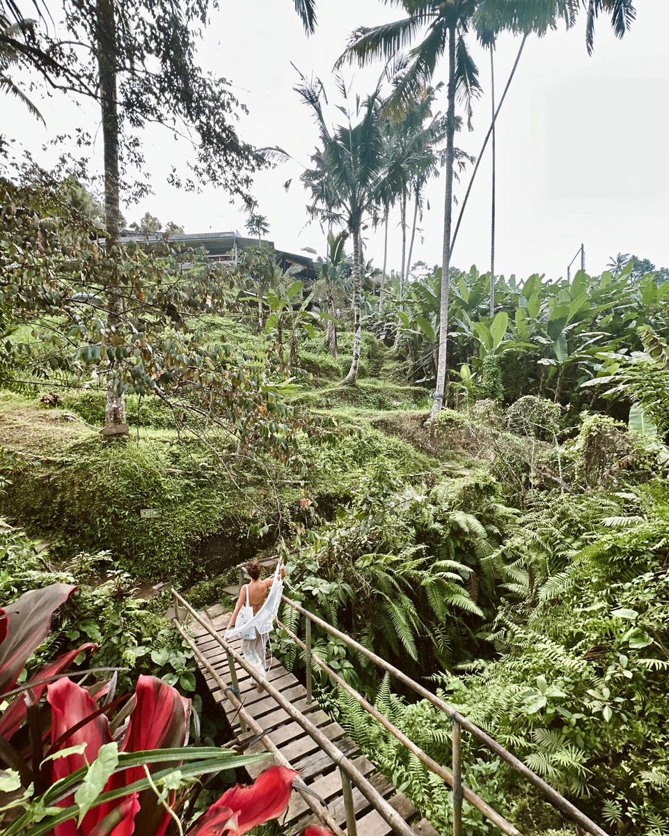 aşık olduysam demek ki