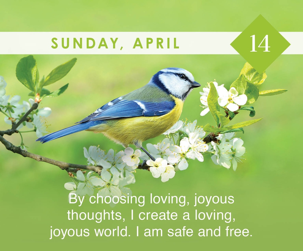 Affirm: 'By choosing loving, joyous, thoughts. I created a loving, joyous world. I am safe and free.'