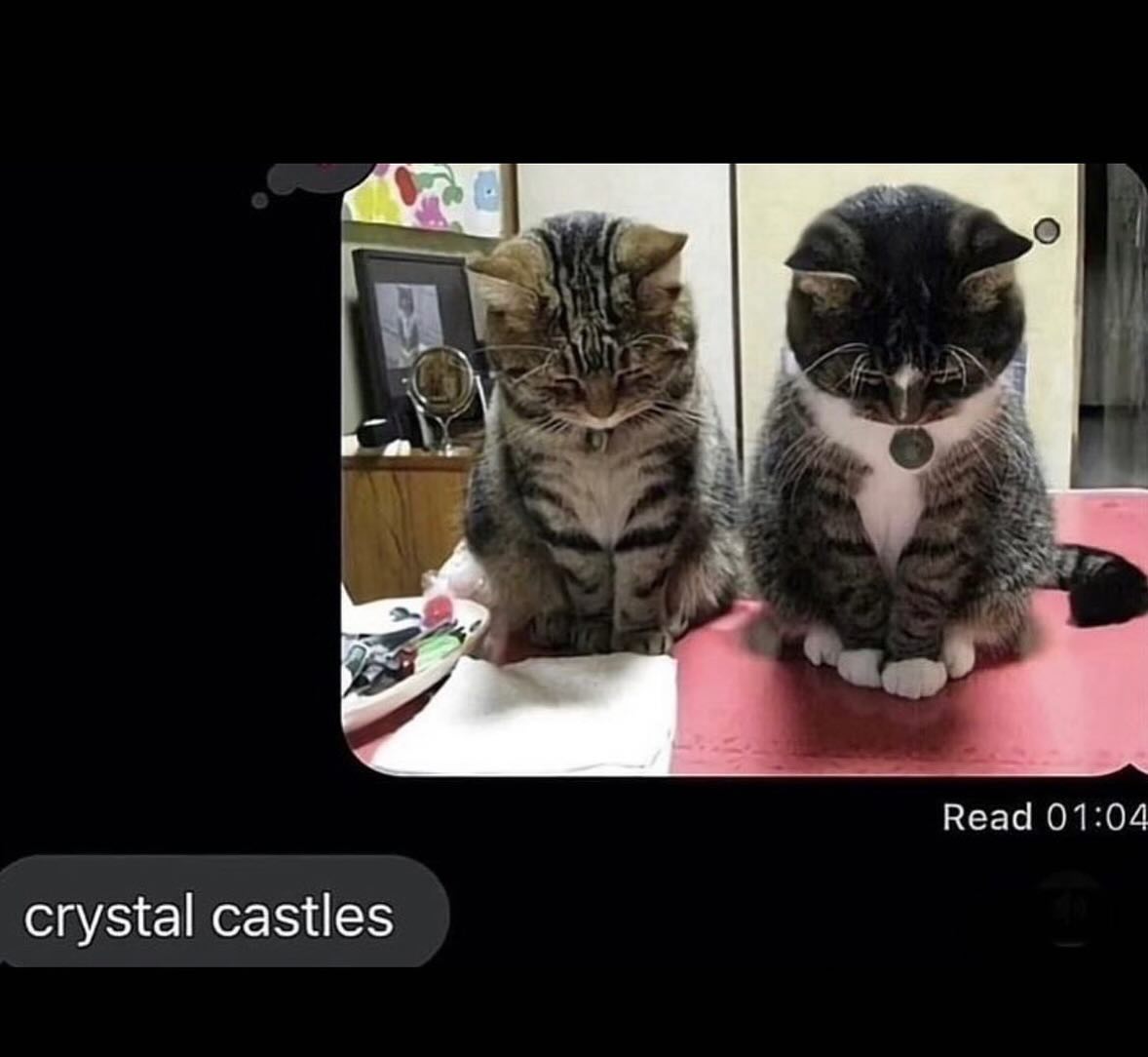 PunchingCat's tweet photo. https://t.co/CqsREqvE0N