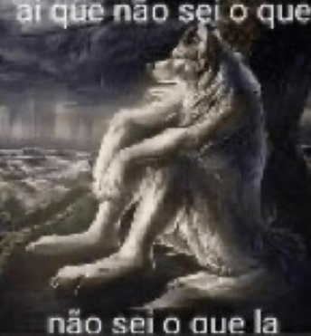 susbieta's tweet photo. @mirrworball pelo amor de deus https://t.co/R9nmwtMnYR