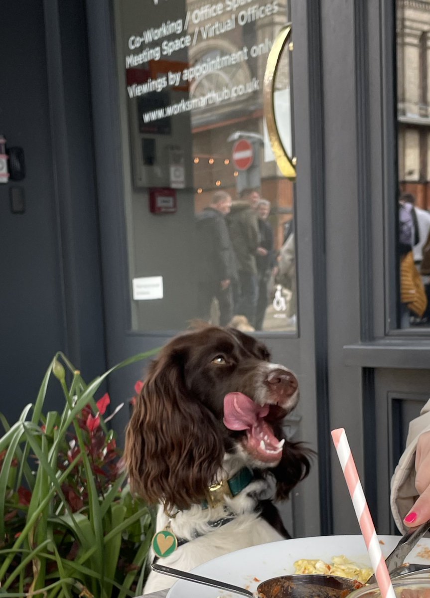 Happy Sunday lunching, from Basil and me x