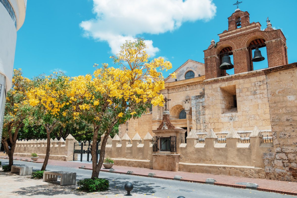 Disfruta y tómate una foto de los Robles Amarillos y su hermoso color en nuestra Ciudad Colonial.💛
