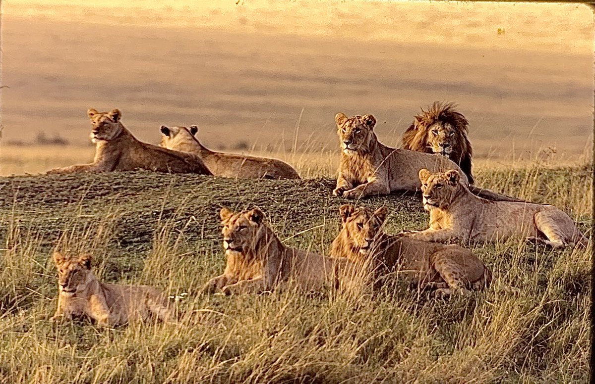 Notch and his Boys 2006 - how times have changed for the Marsh Lions 🙏