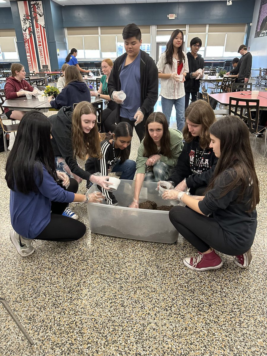 MHSStudentService tweet media