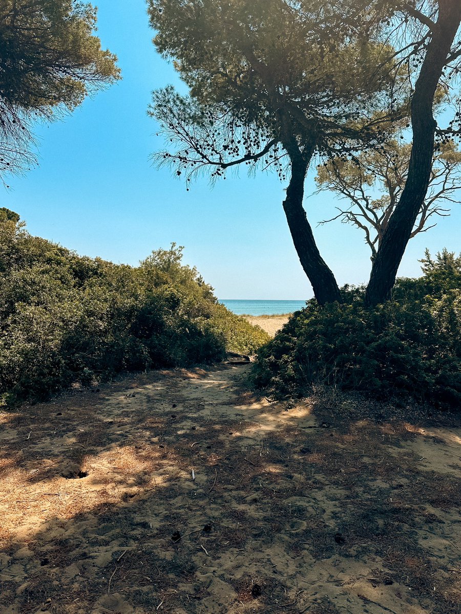 Κάποια μέρα θα πω πόσο μ’ αρέσει το σχήμα V.