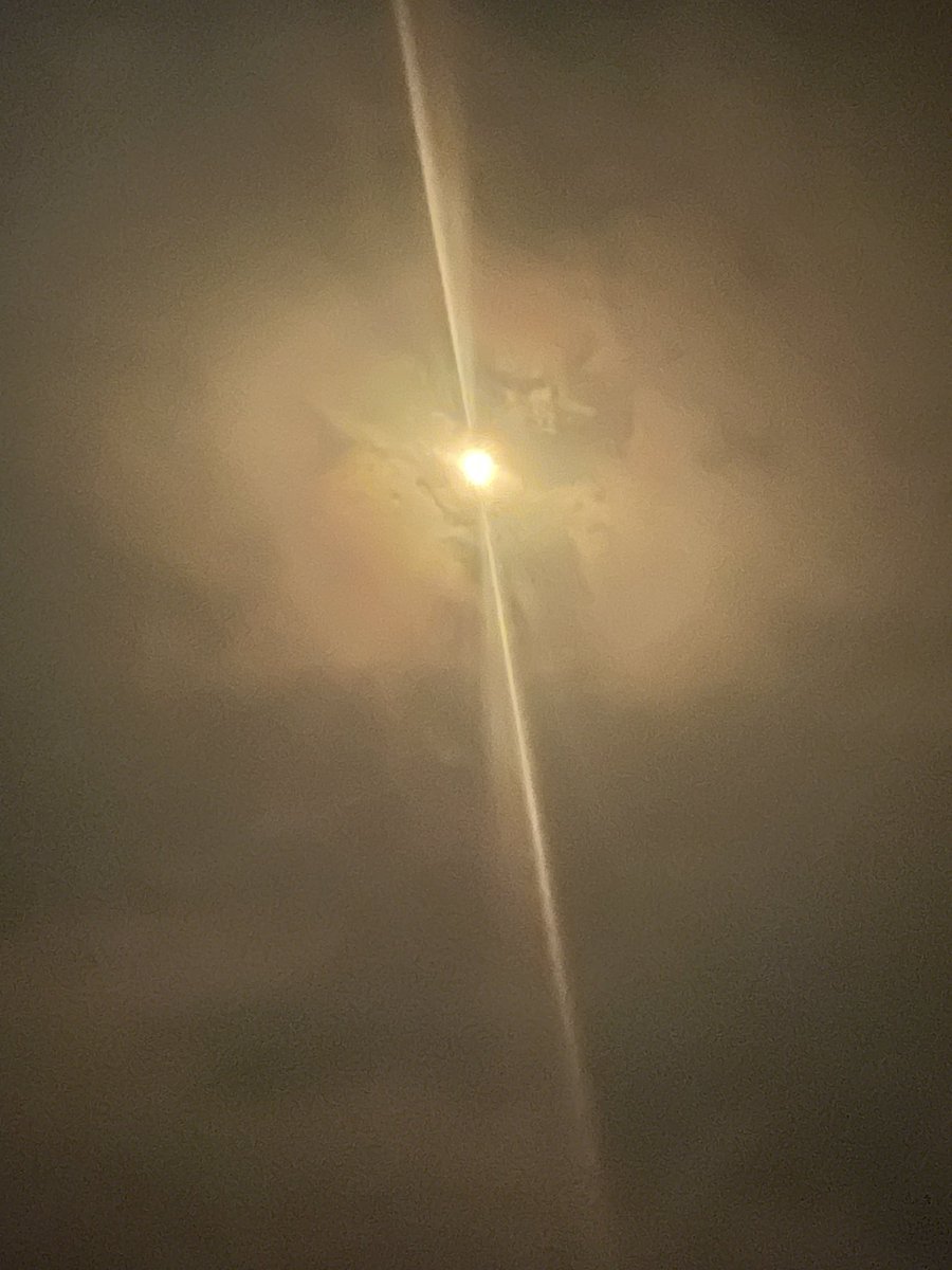 ms_audreyadams's tweet photo. We loved getting to watch the eclipse from our rooftop area! A super cool event we’ll always remember! ☀️🌒🕶️ @Berkshire_BCPS https://t.co/ONi06HL7eG
