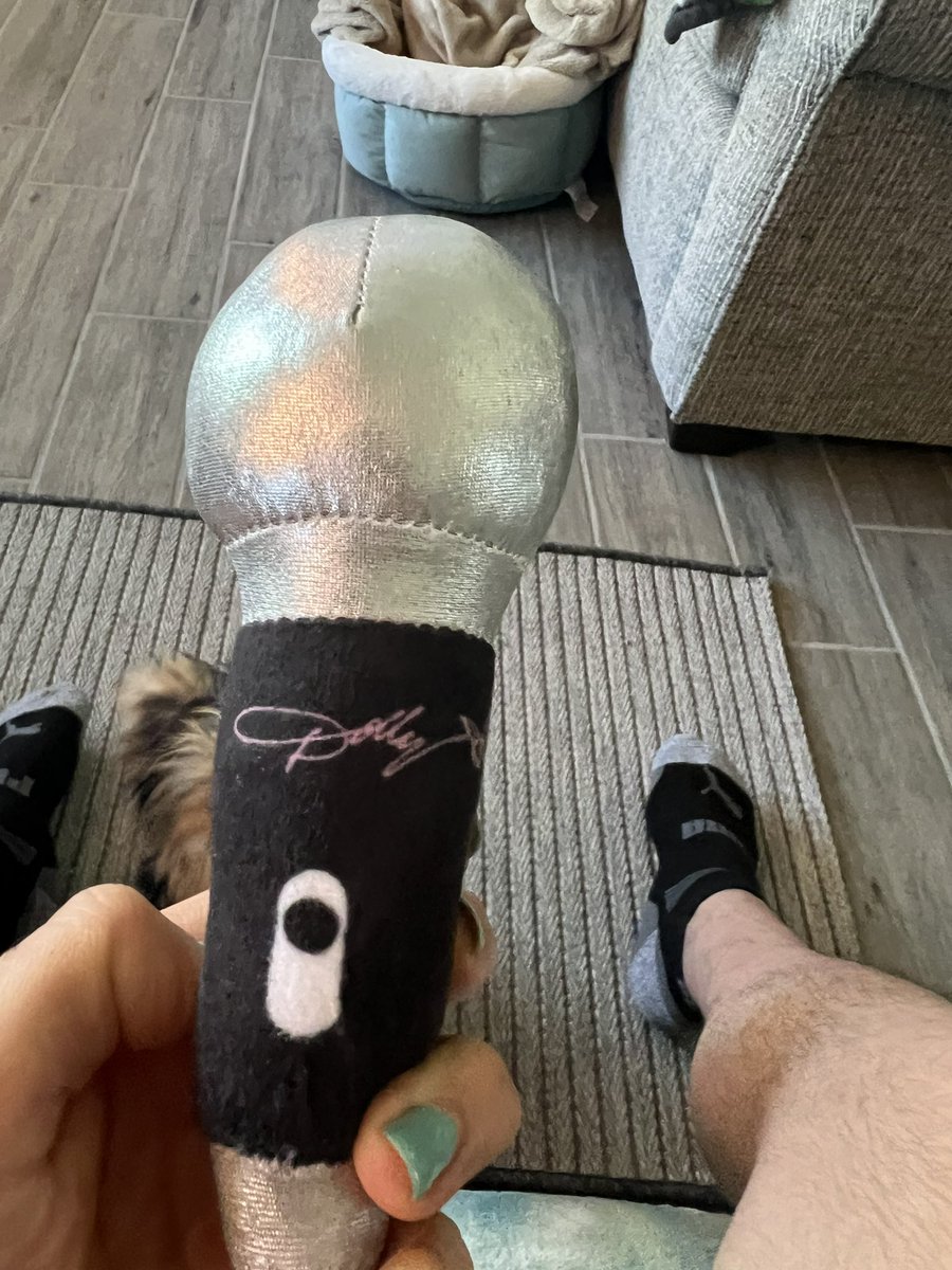 xrayjaytn's tweet photo. @DollyParton  Jackson loves his #doggyparton microphone toy!! @DoggyParton #yorkie https://t.co/s7KjmFfcGf