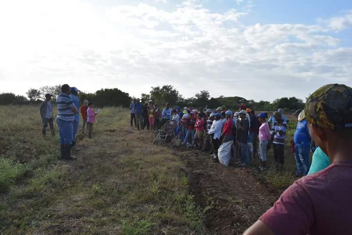 RenGallego3's tweet photo. #LasTunasXMásVictorias 
En respuesta a la convocatoria nacional para el desarrollo de jornadas de trabajo voluntario, este domingo en todos los municipios de #LasTunas se realiza masiva movilización de trabajadores hacia áreas agrícola. #PorCubaJuntosCreamos Viva Cuba. https://t.co/vMf7t3dx6w