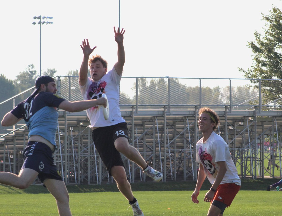 Boomtown Pandas tweet media