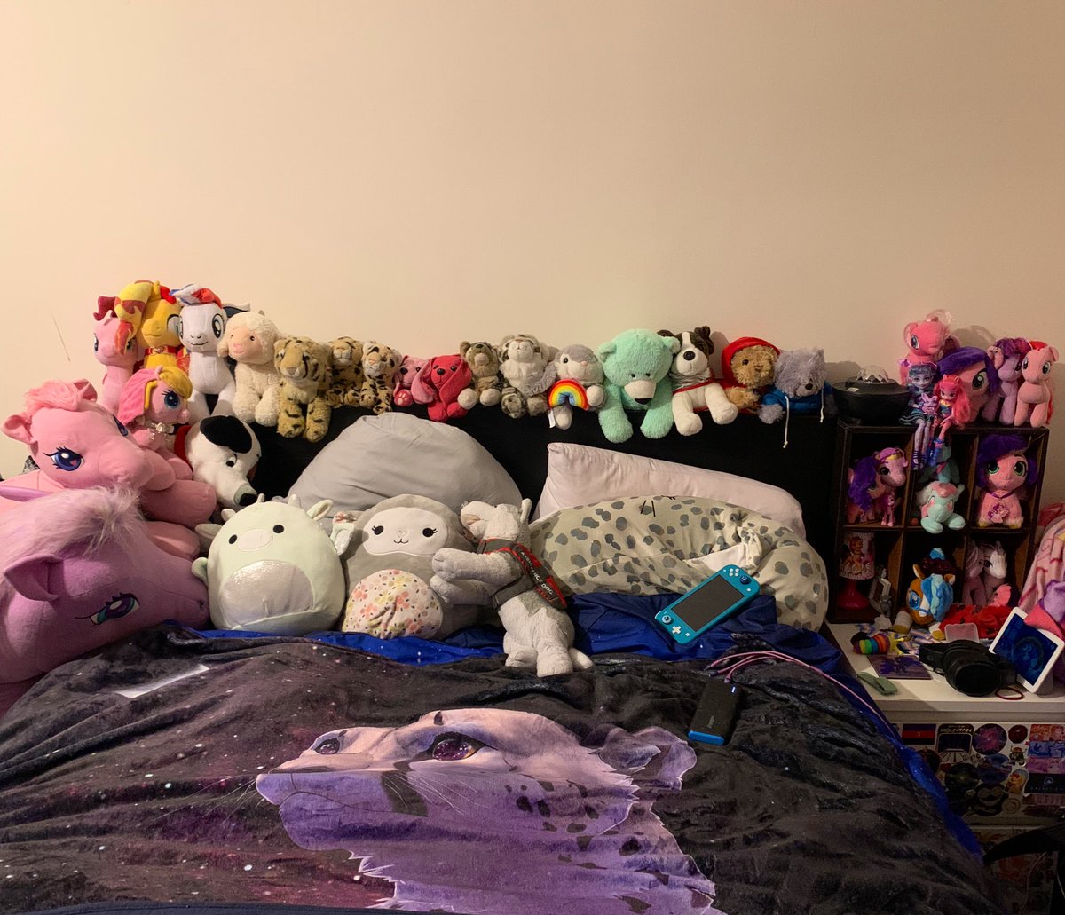 “What do you mean you are fretting about moving because of plushies?” This isn’t all of them, I’d argue, this isn’t even the plushie strong hold point for the household. This isn’t even all of them in this one room. Plushies and fursuits consume my space lmao 😂😂😂