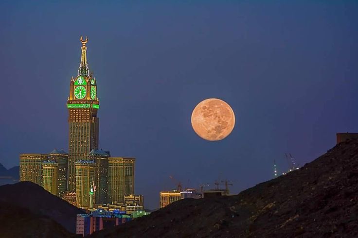 quranquotidien's tweet photo. [THREAD]
Qu’est ce qu’il faut faire après la salât / prière : https://t.co/7viSr3UaFy