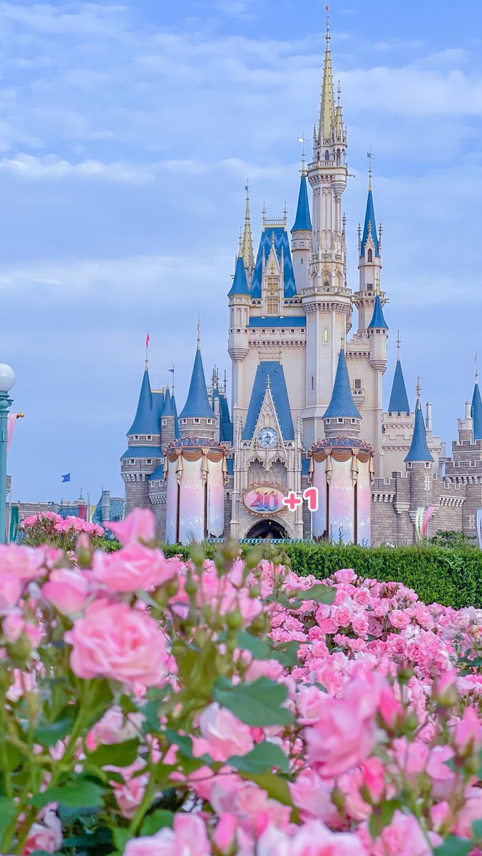 東京ディズニーランド 街灯 #ディズニー #東京ディズニーランド #東京ディズニーシー