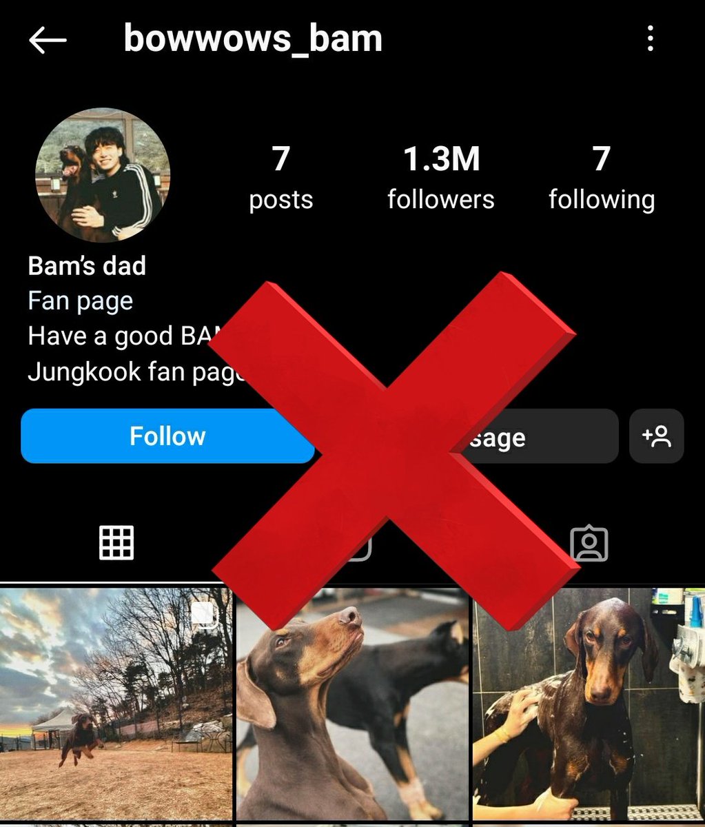 Armys attention ‼️🆘 There is one fake account with 1.3M followers already 🤯 Bowwow_bam is real jungkook Bowwows_bam is fake 🆘 Don't tell me, he would have almost 3M by now, but a lot have followed the wrong one 😭😭