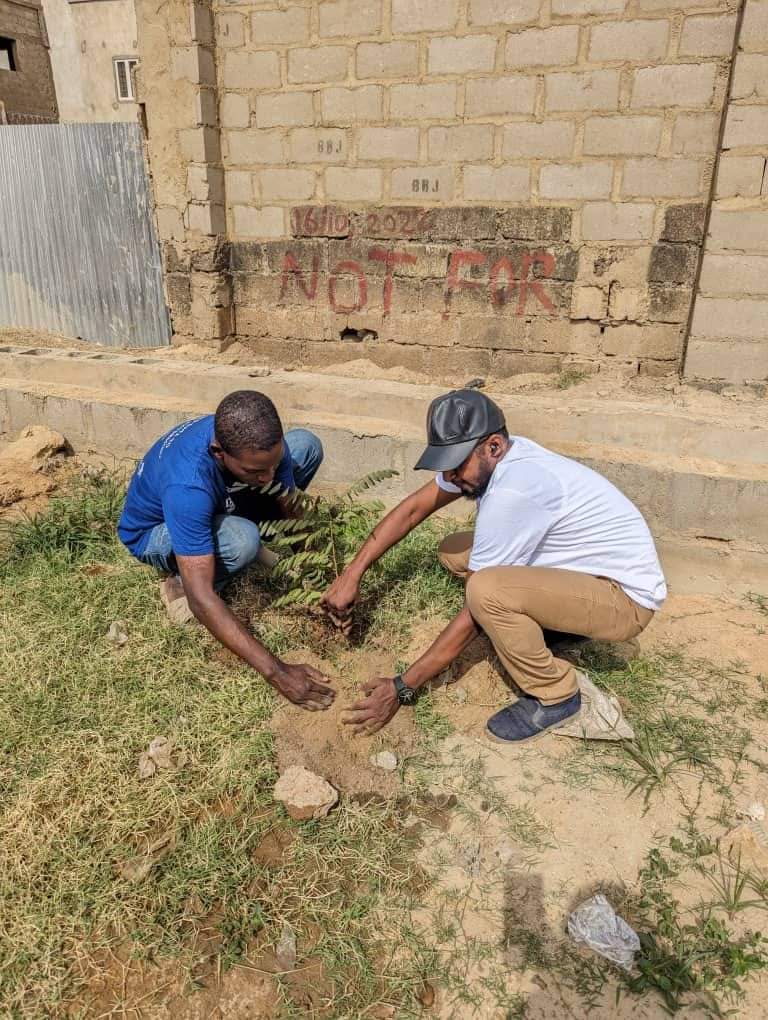 In our efforts to #MakeKanoGreen through planting a million trees, today I participated in planting 60 trees in the Alexandria Street of Tudun Yola, Kano State. There's a sustainability plan that will ensure the steady growth of the planted trees.