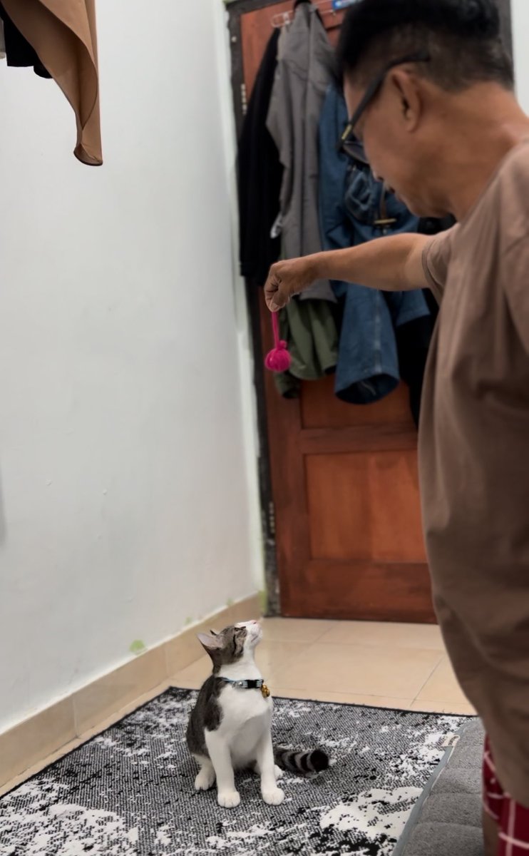 Udah lama gak nongol di sini.. 
cerita dikit ah ..
Ini adalah foto bokap gue maen sama abul, abul itu kucing yg umur 2 bulan pup mulu di halaman rumah, yg induknya gak jelas kemana, karna gemes pup terus, akhirnya gue beliin kandang dan pasir 😅.