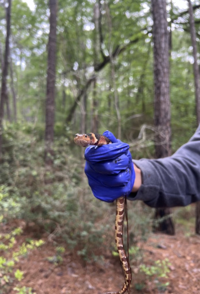 My “can I come over and stare at you like this?” compilation 👁️