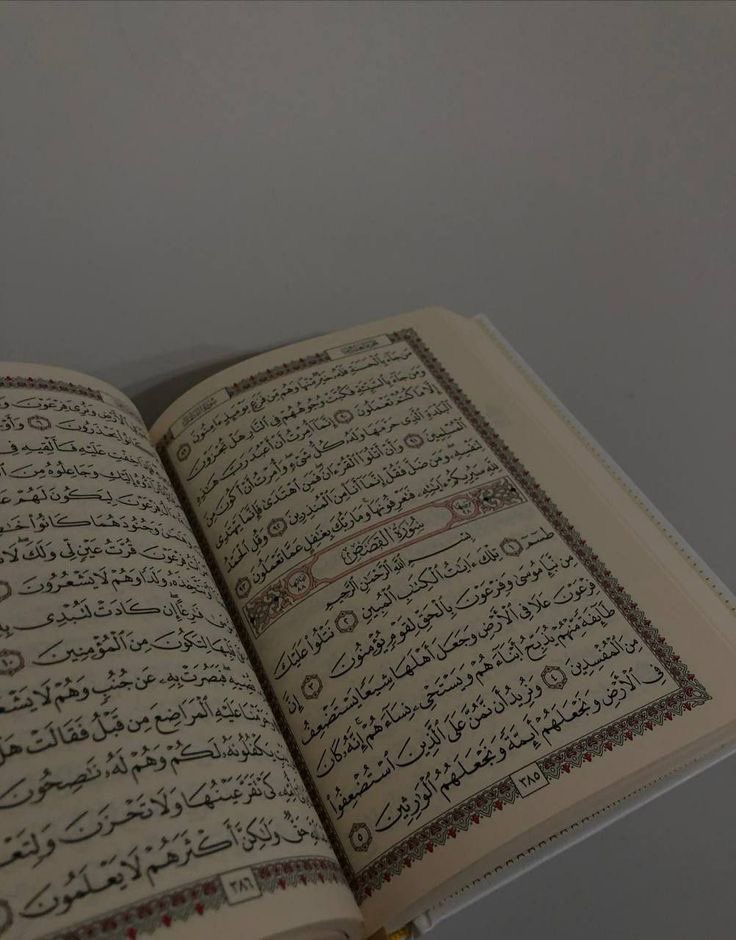 Sheikh Al Uthaymin رحمه الله a dit : 

"Malgré tout ce que tu pourras chercher comme remède chez les médecins pour soigner ce qu'il y a dans ton coeur,

𝘁𝘂 𝗻𝗲 𝘁𝗿𝗼𝘂𝘃𝗲𝗿𝗮𝘀 𝗽𝗮𝘀 𝗺𝗶𝗲𝘂𝘅 𝗾𝘂𝗲 𝗹𝗲 𝗖𝗼𝗿𝗮𝗻."