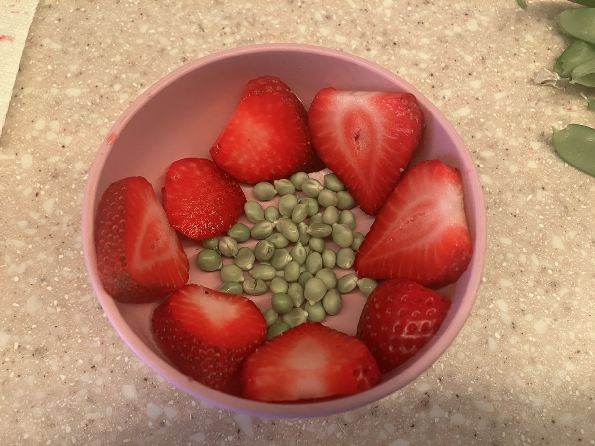 Baby goat’s morning snack from garden. Lucky lil guy