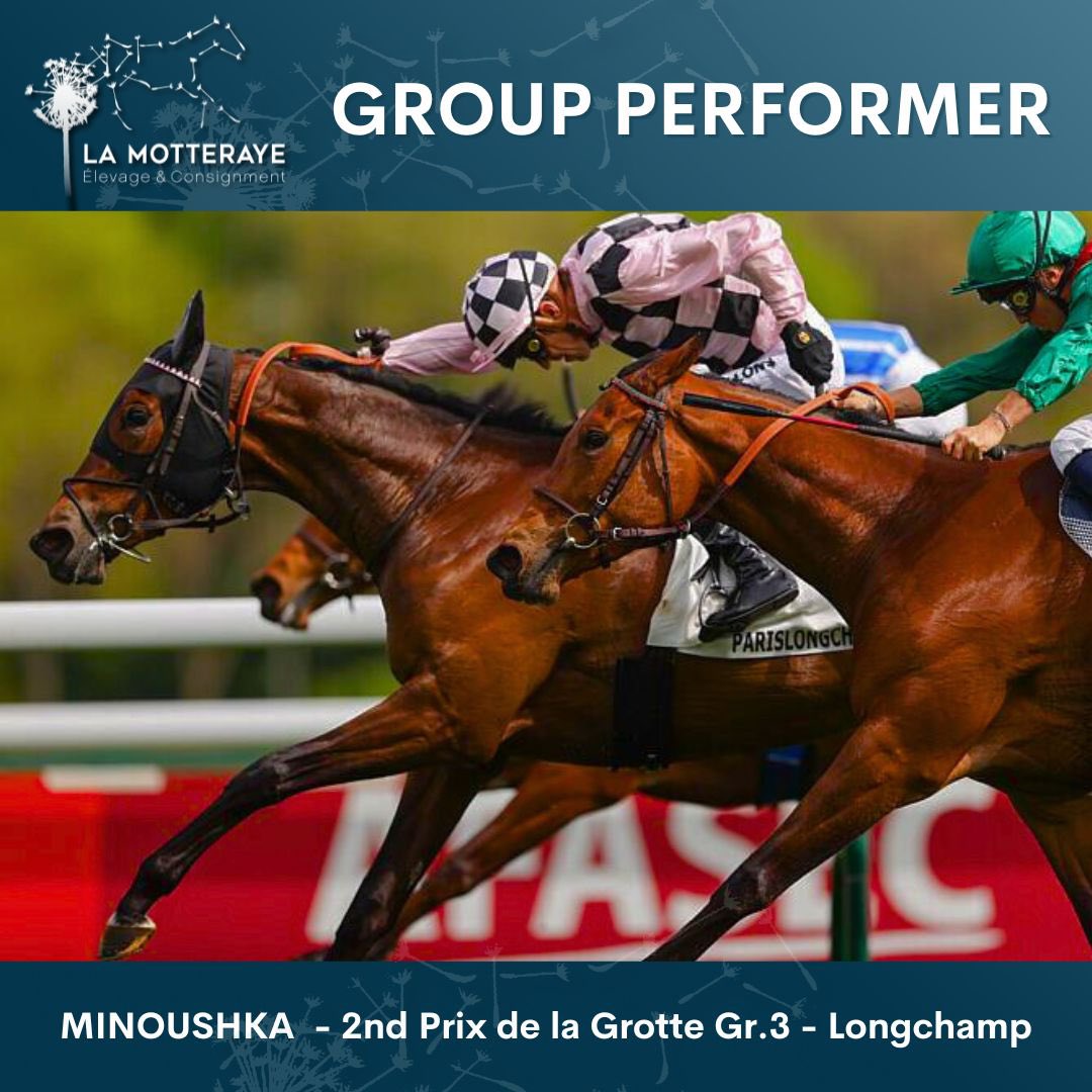 💥 Great performance from MINOUSHKA who was placed second in today's Prix de la Grotte Gr.3 at Longchamp, by just a short head. 

Bred by Haras du Thenney & partners, this daughter of Starspangledbanner was sold by la Motteraye at the 
2022 @arqana_deauville October Sale.