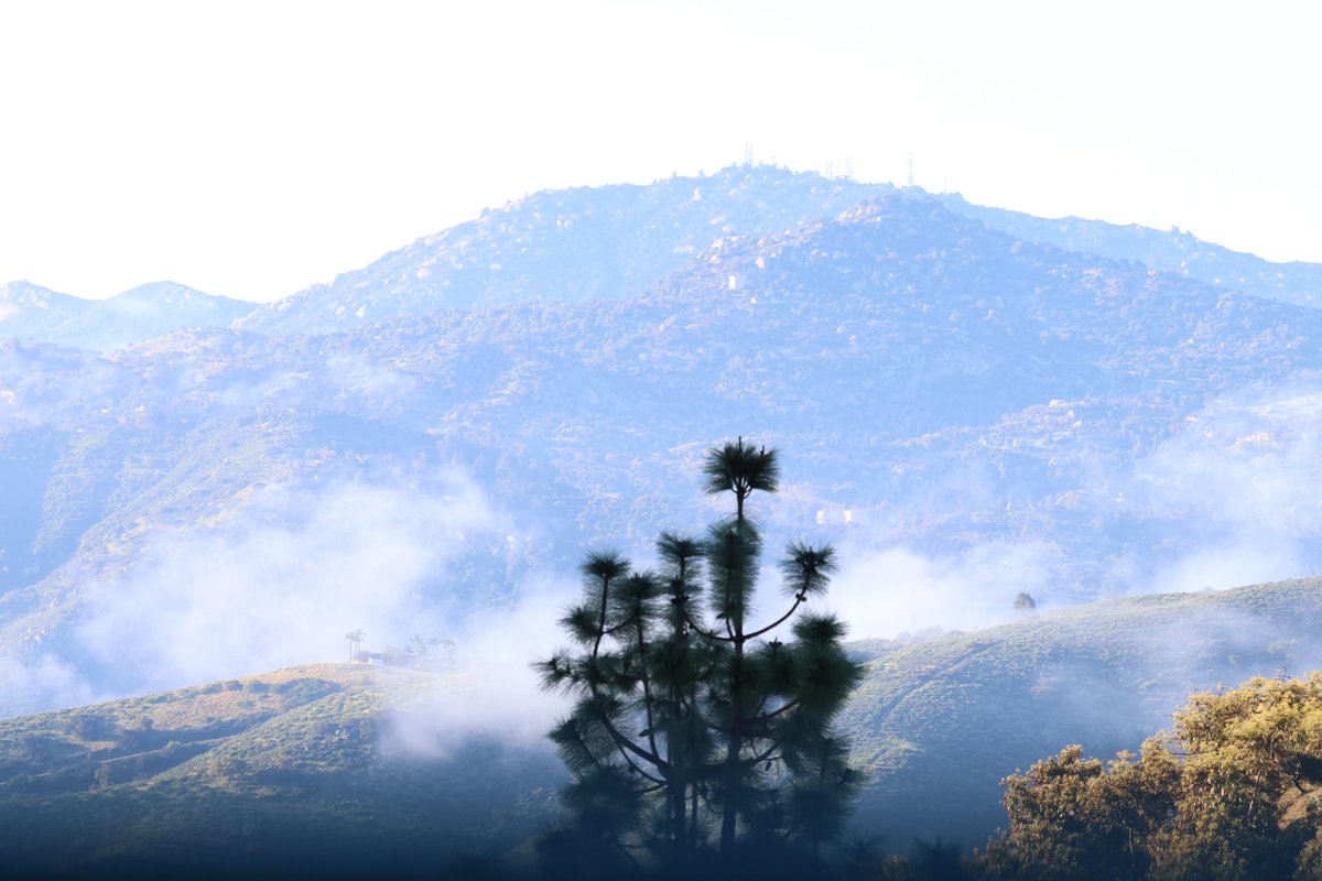 A view of patchy valley fog below with Starvation Mt and Mt Woodson behind. Quite clear early, but no worries, clouds already increasing and rain due this evening 🙄 San Diego county