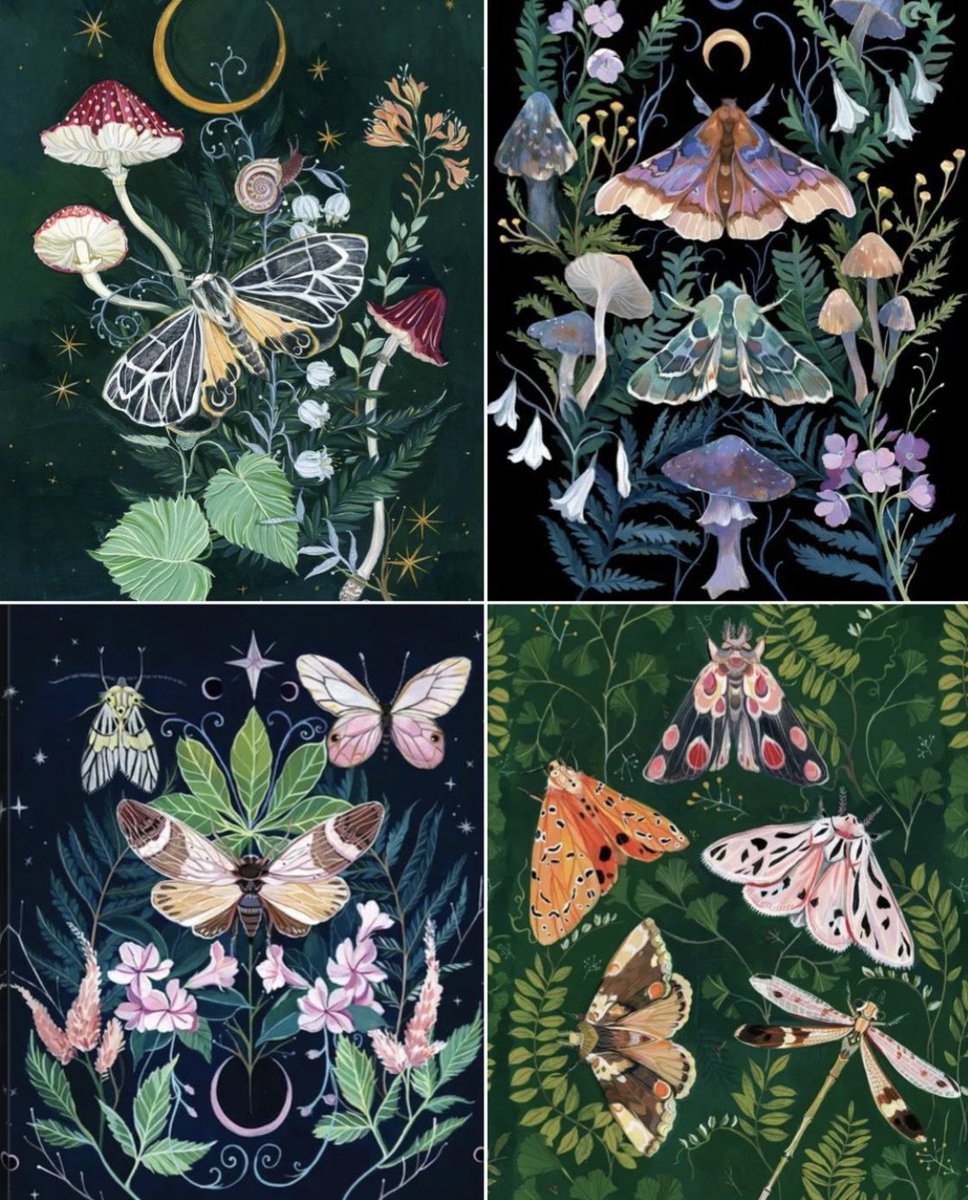 The magical moths of Clara McAllister