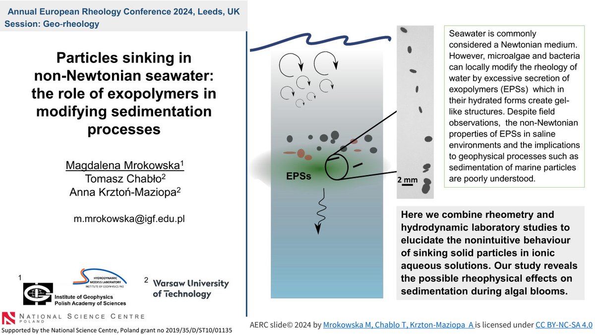 Magdalena Mrokowska tweet media