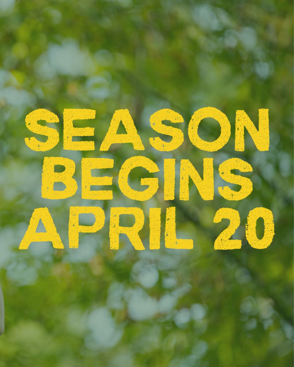 AdkExt's tweet photo. 🌲 Embrace the thrill of the treetops! Our adrenaline-packed adventure and zipline courses officially open for the season Saturday, April 20th! Come soar through the Adirondacks! 🌲 #AdirondackExtreme #BoltonLandingNY https://t.co/06gn5U5OuG