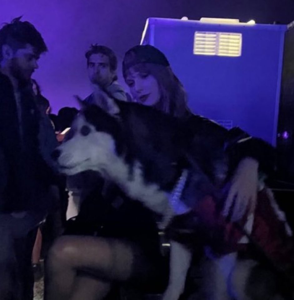 she drunk as fuck trying to figure out what kind of cat that is