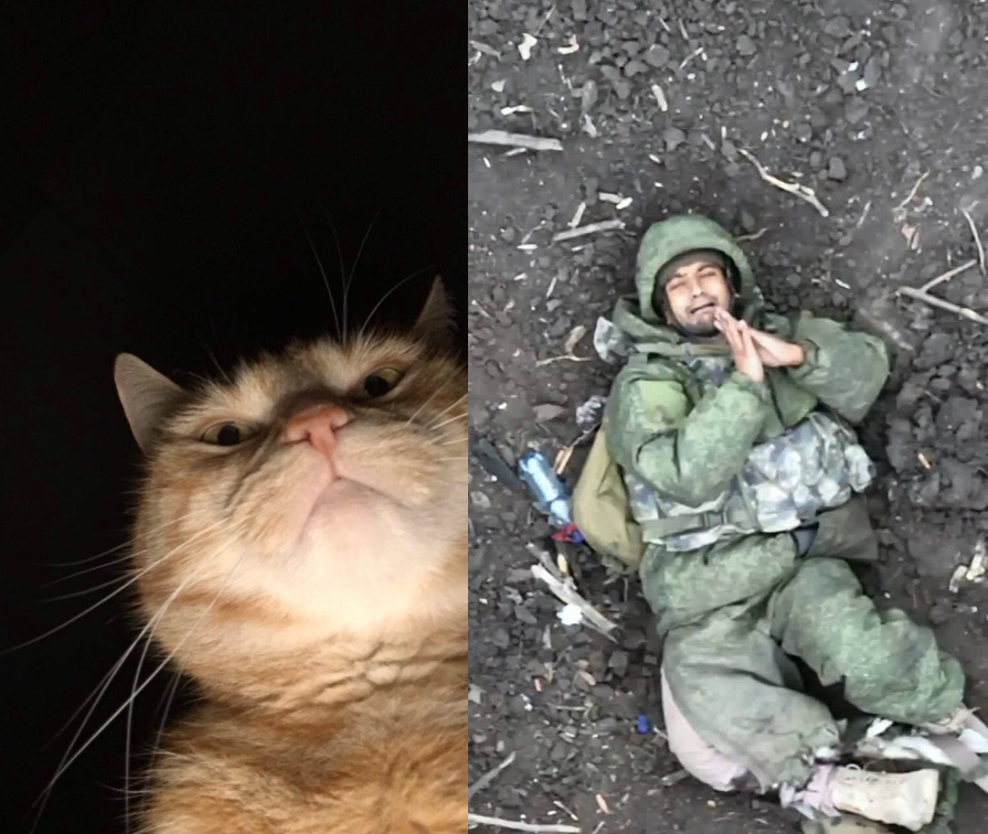 Russian soldier begs for mercy from a Ukrainian Giant Military Cat