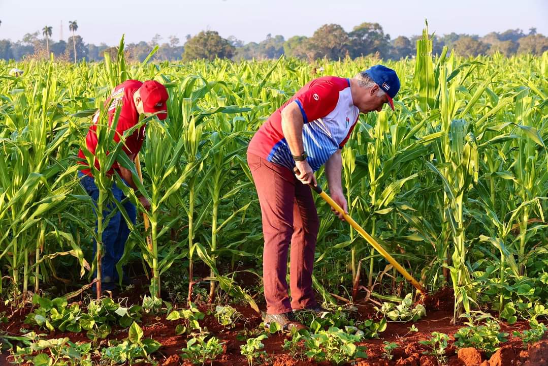 Sin dudas es esto lo que le jode al enemigo. ¿Dónde está el Presidente de Cuba? 🇨🇺 Aquí...😏 👇👇👇