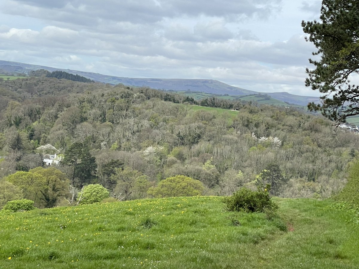 My allotment walk today. #walk #view #devon