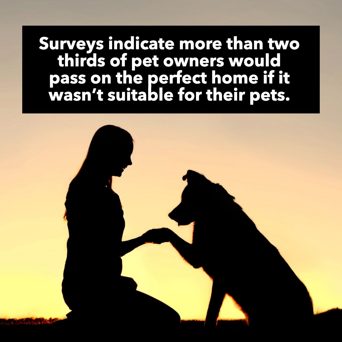 Pets are part of the family when it comes to buying a home. 👌

#didyouknow #fact #pets #furryfriends #randomfact #realestate #realestate101
 #BorahRealtySource #Borahsdiditagain #Borahsoldit #bestteamintown #6788737018 #HouseHunting #Newhome #Broker