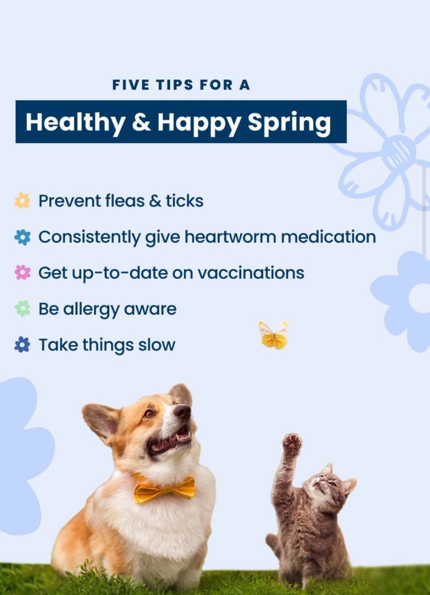 ⚠️ Lets take good care of our furry ones 🙏🐶🐾🦴💯

#dogsafety #HealthTips #healthypups #dogs