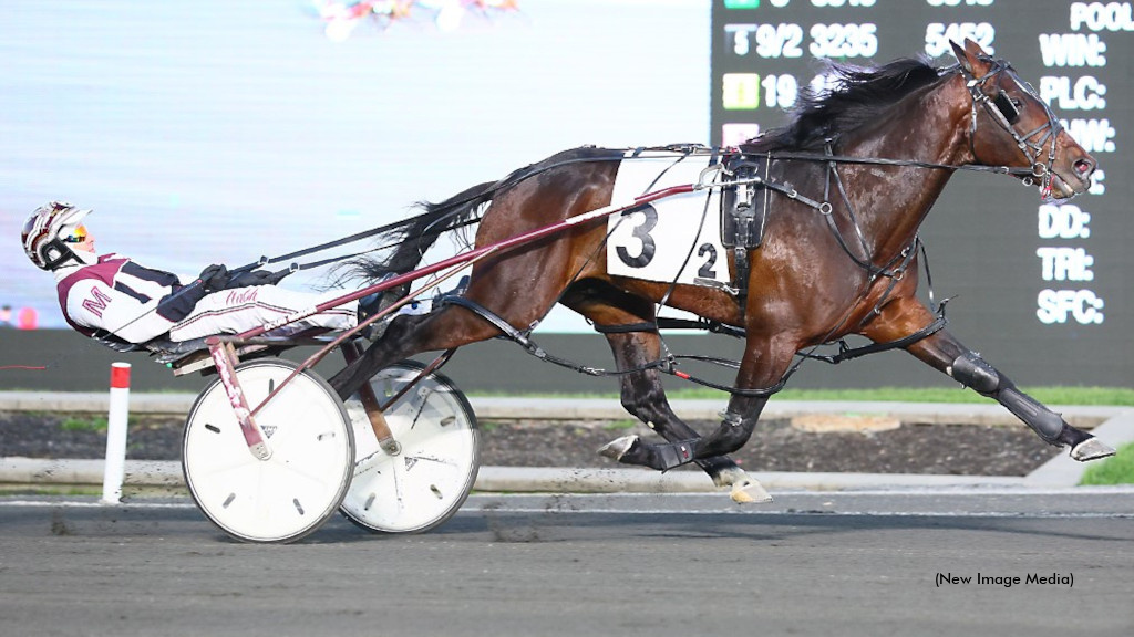 Write Me A Rose (pictured), Gias Surreal and 2023 O'Brien Award finalist Emmetts Buddy were the stars of the show on an action-packed Saturday night card at Woodbine Mohawk Park → tinyurl.com/258zua8p #harnessracing