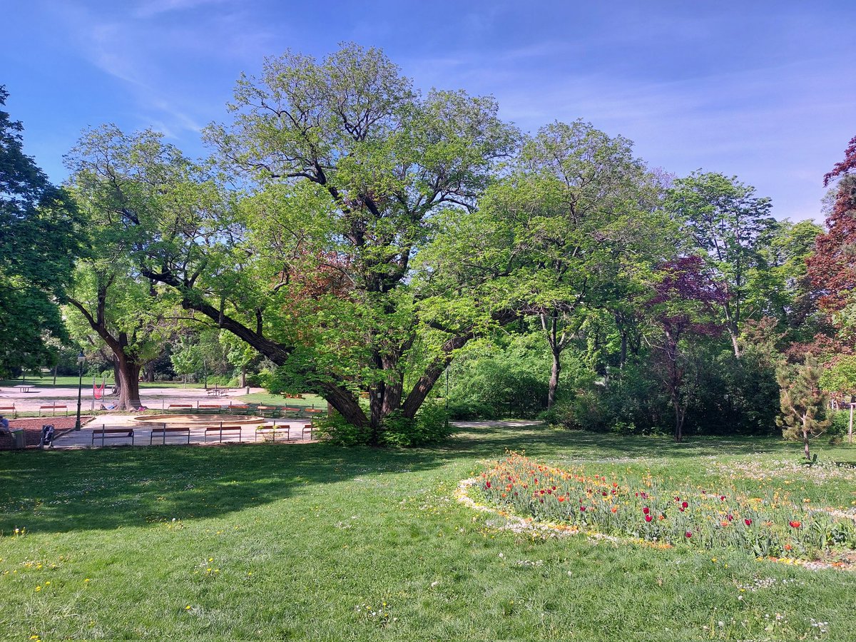 RobertCaine21's tweet image. We are in beautiful Vienna for #EGU24. Really looking forward to a great week of science whilst representing the @DrHollyCroft lab. 🛰🌾🌳💧☀️@UKRI_News #remotesensing  @RaoulBlackman @sophiatamar3 @DrMuhammadSK92